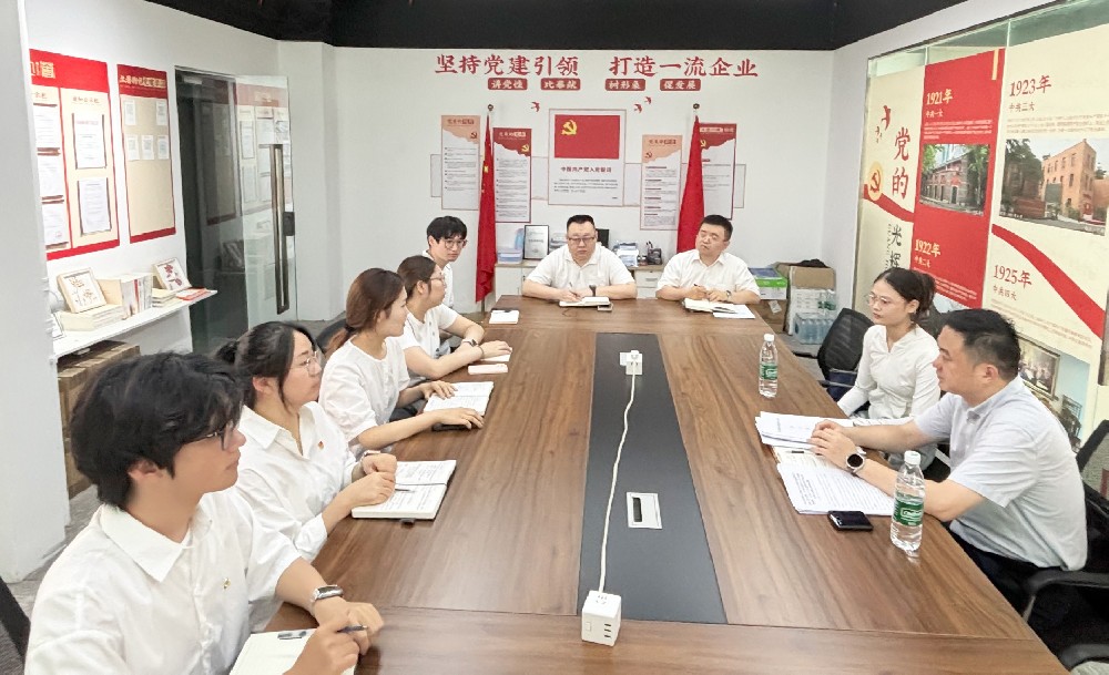 黨建引領(lǐng)聚合力，清風(fēng)護(hù)航促發(fā)展——市委網(wǎng)信辦副主任杜巍蒞臨我司指導(dǎo)學(xué)習(xí)